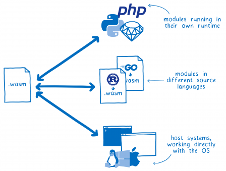 Un diagramme avec un module WASM à droite et trois doubles flèches qui partent vers : des modules PHP/Python/Ruby qui s'exécutent dans leurs environnements ; des modules Rust/Go qui sont écrits avec un autre langage ; des systèmes hôtes qui fonctionnent directement avec le système d'exploitation