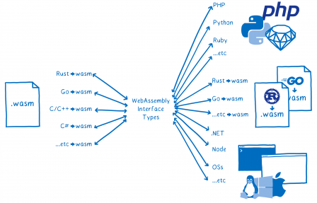 Un diagramme avec un module WASM à gauche, une liste de langages qui compilent vers WASM et des doubles flèches qui pointent vers le texte 'Types d'interfaçage WebAssembly'. De là repartent des doubles flèches vers des langages, des environnements, des systèmes d'exploitation, etc.